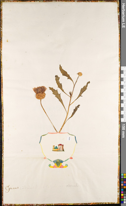 LE 01084854