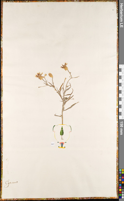 LE 01084857