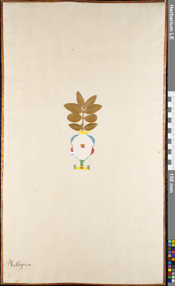 LE 01084863