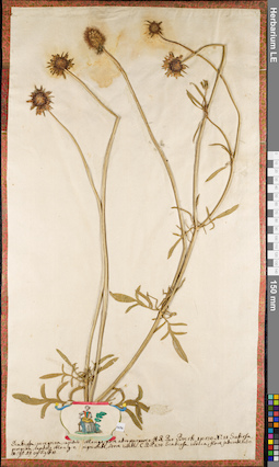 LE 01084864