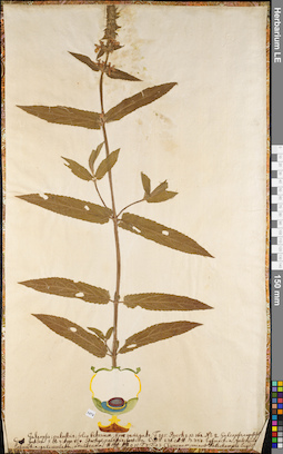 LE 01084866
