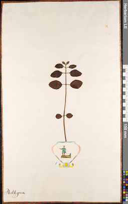 LE 01084867