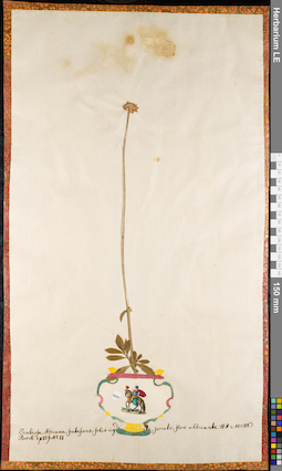 LE 01084868