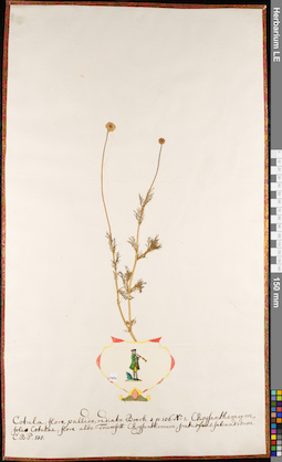 LE 01084874