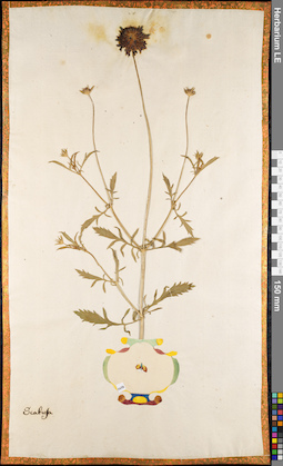 LE 01084876