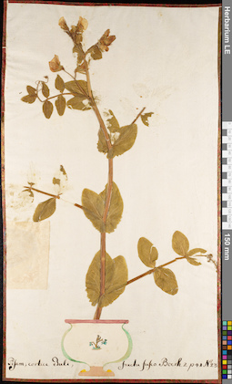 LE 01084884