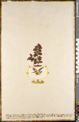 LE 01084887