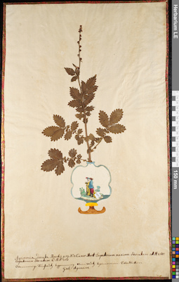 LE 01084891
