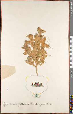LE 01084892