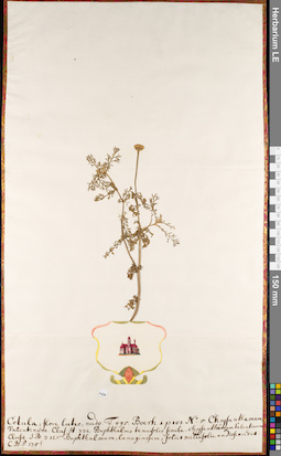 LE 01084932