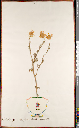 LE 01084936