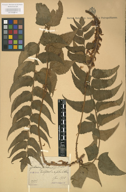 LE 01000044