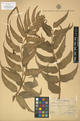 LE 01000046