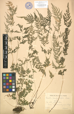 LE 01000101