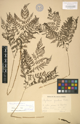 LE 01000111