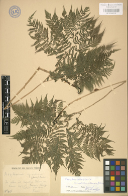 LE 01000112