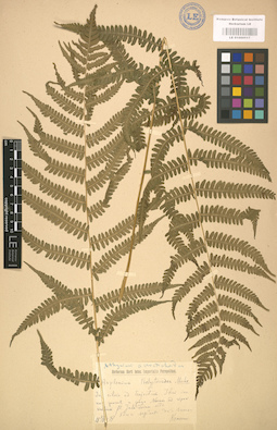 LE 01000117