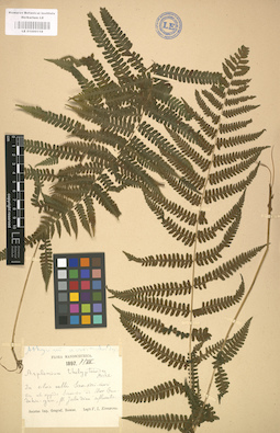 LE 01000118