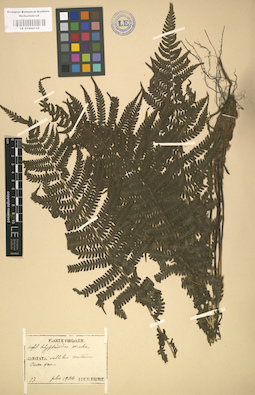 LE 01000119