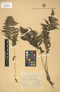 LE 01000122