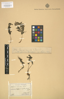 LE 01000125