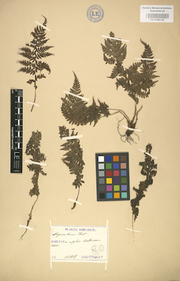 LE 01000126