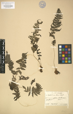 LE 01000127