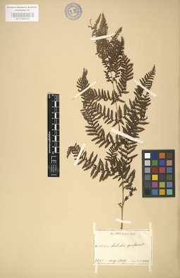 LE 01000129