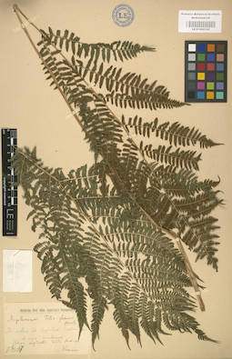 LE 01000130