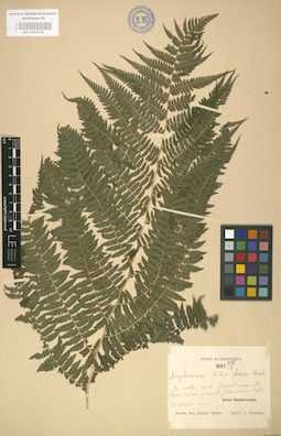 LE 01000131