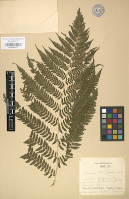 LE 01000132