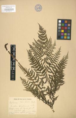 LE 01000133