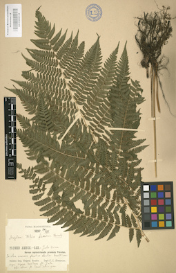 LE 01000134