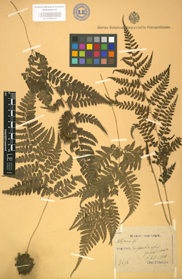 LE 01000143