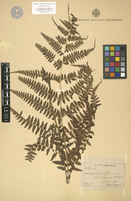 LE 01000147