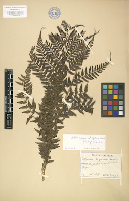 LE 01000148
