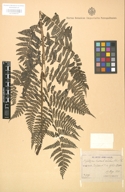 LE 01000157