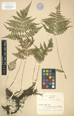 LE 01000162