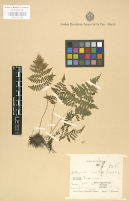 LE 01000163