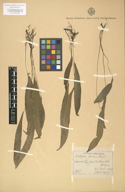 LE 01000165