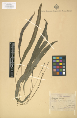 LE 01000166