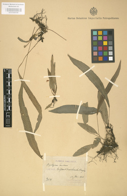 LE 01000168