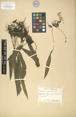 LE 01000169
