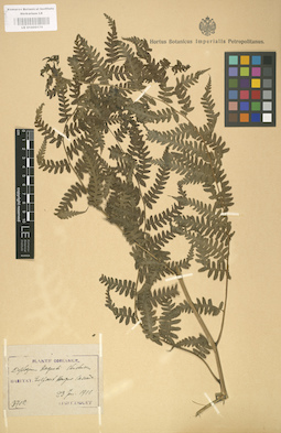 LE 01000170