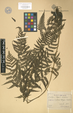 LE 01000171