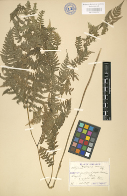 LE 01000172