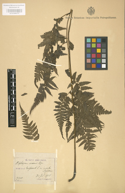LE 01000173