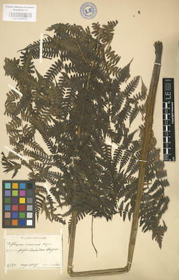 LE 01000174