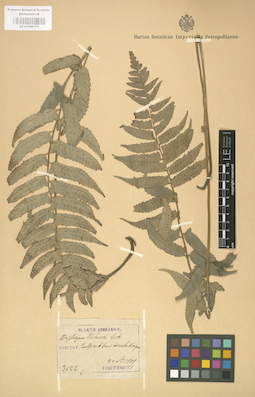 LE 01000175
