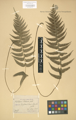 LE 01000176